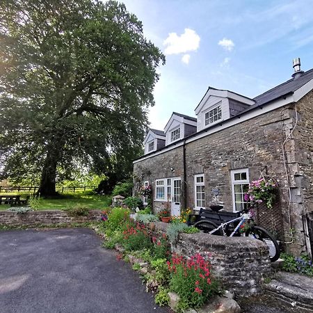 Swansea Valley Holiday Cottages Cilybebyll Zewnętrze zdjęcie
