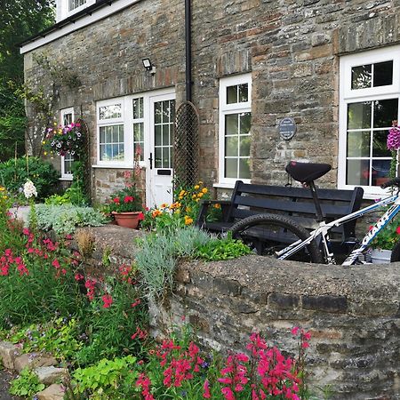 Swansea Valley Holiday Cottages Cilybebyll Zewnętrze zdjęcie