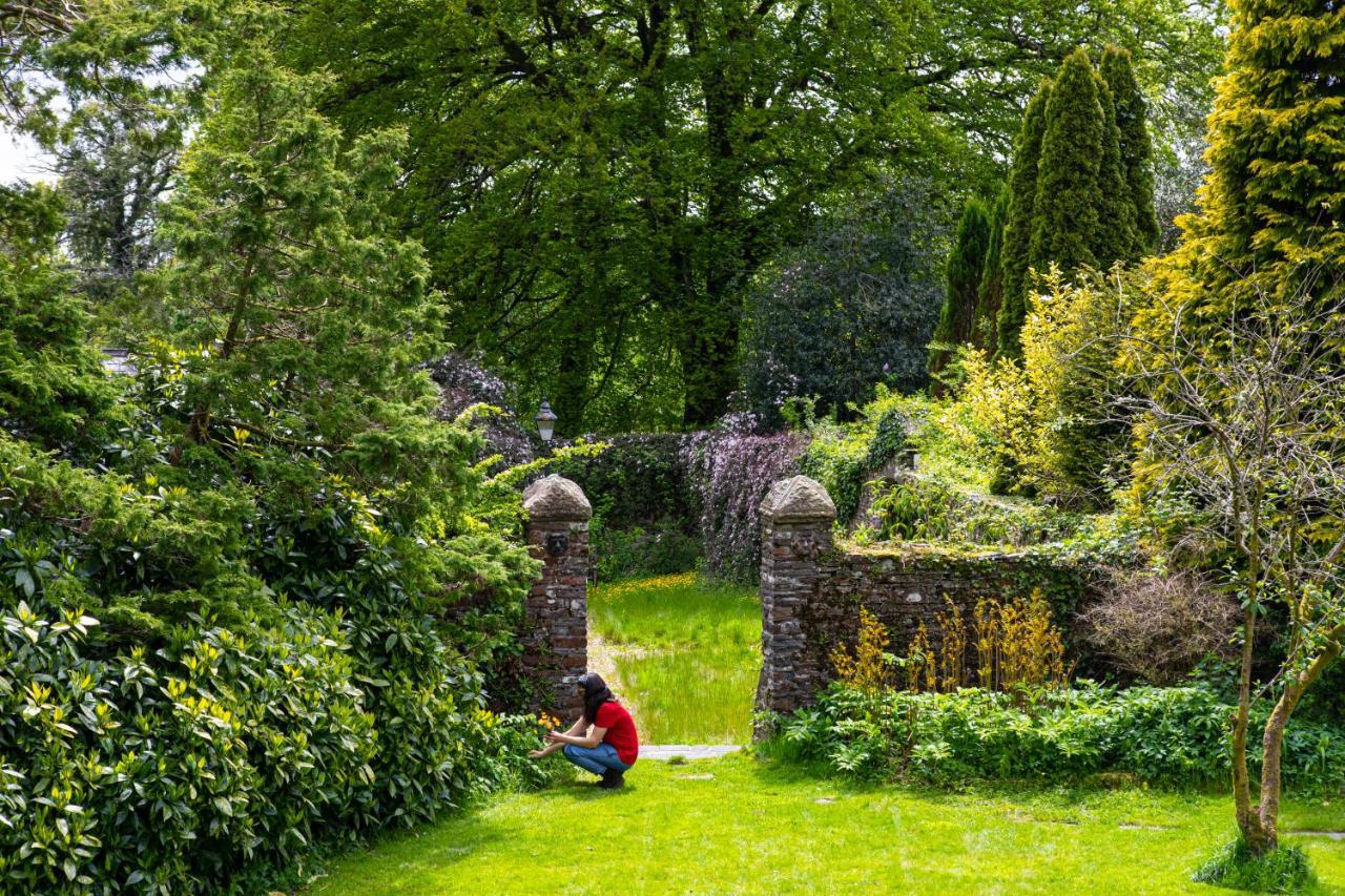 Swansea Valley Holiday Cottages Cilybebyll Zewnętrze zdjęcie