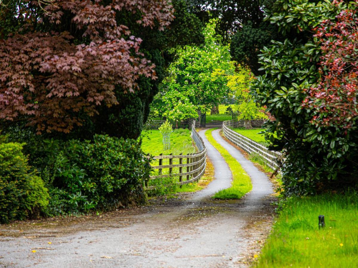 Swansea Valley Holiday Cottages Cilybebyll Zewnętrze zdjęcie