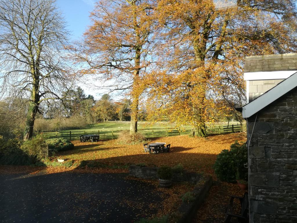 Swansea Valley Holiday Cottages Cilybebyll Zewnętrze zdjęcie